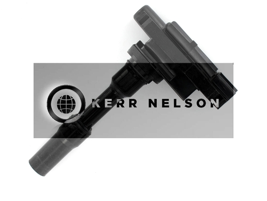 Kerr Nelson IIS220