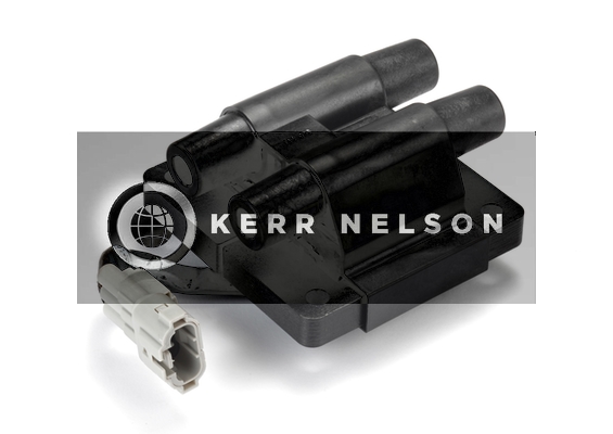 Kerr Nelson IIS224