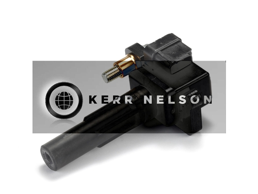 Kerr Nelson IIS233