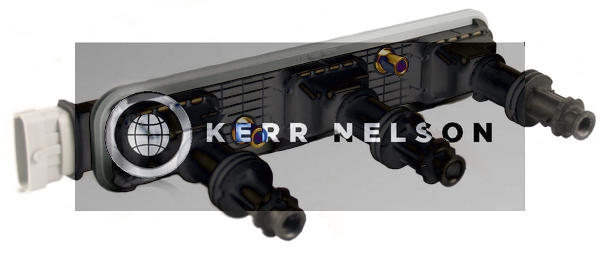 Kerr Nelson IIS244