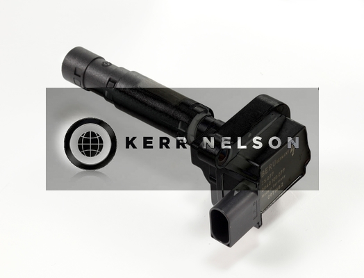 Kerr Nelson IIS251