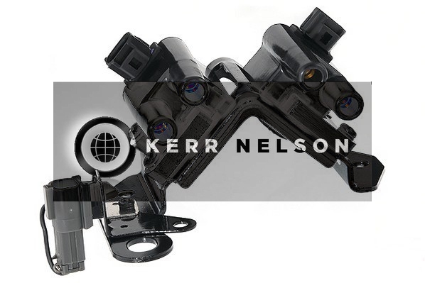 Kerr Nelson IIS254