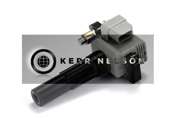 Kerr Nelson IIS255