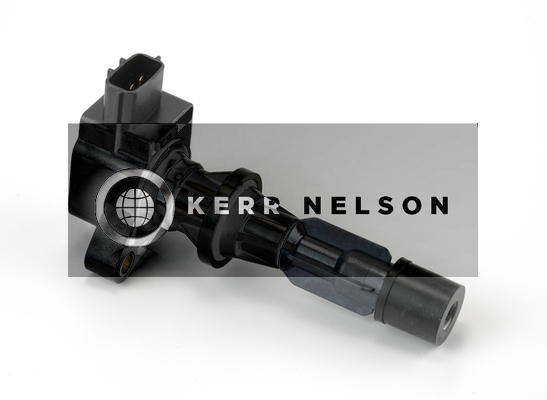 Kerr Nelson IIS258