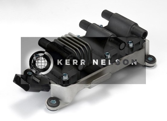 Kerr Nelson IIS261