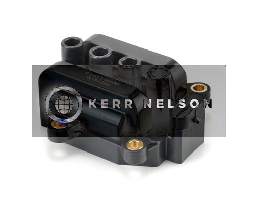 Kerr Nelson IIS262