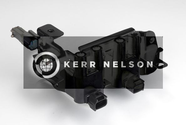 Kerr Nelson IIS271