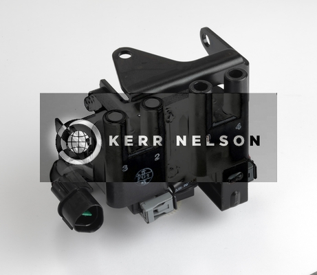 Kerr Nelson IIS273