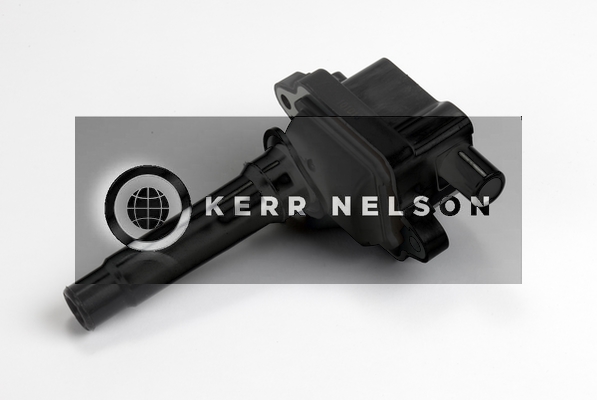 Kerr Nelson IIS275