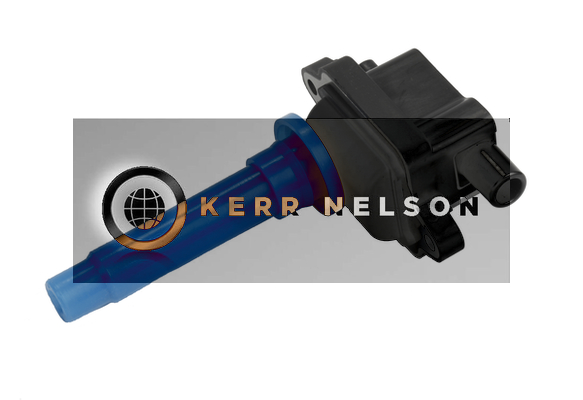 Kerr Nelson IIS281