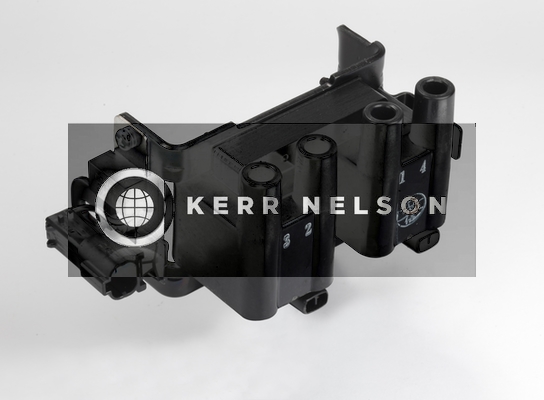 Kerr Nelson IIS283