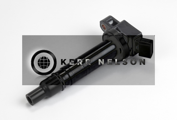 Kerr Nelson IIS287