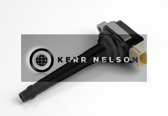 Kerr Nelson IIS294