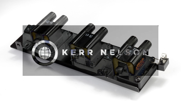 Kerr Nelson IIS304