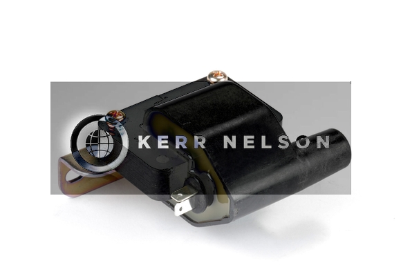 Kerr Nelson IIS307