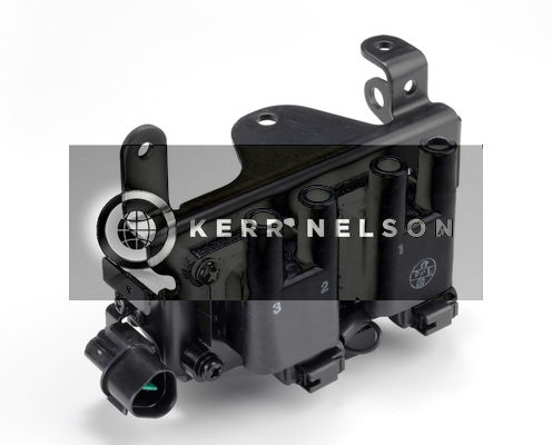 Kerr Nelson IIS308