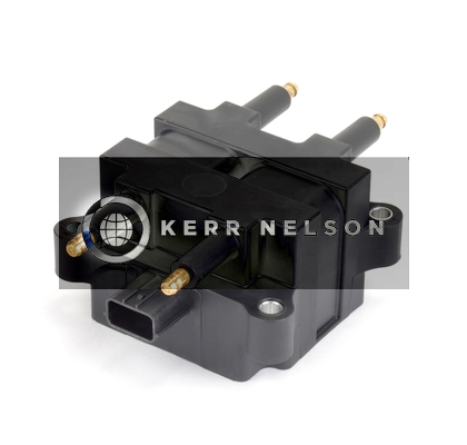 Kerr Nelson IIS312