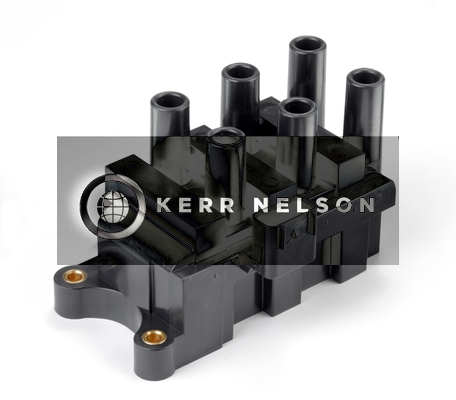 Kerr Nelson IIS315