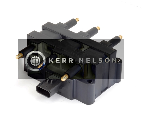 Kerr Nelson IIS324