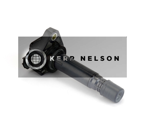 Kerr Nelson IIS331