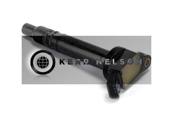 Kerr Nelson IIS336