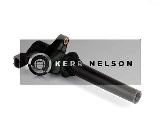 Kerr Nelson IIS349