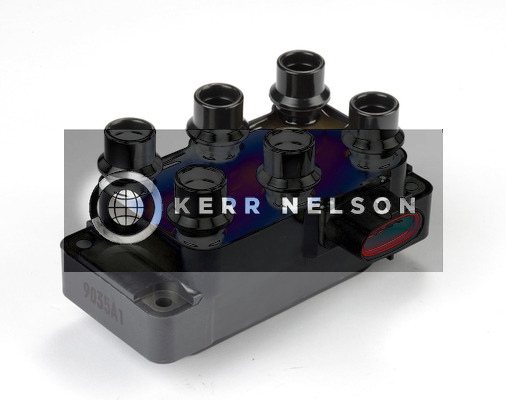 Kerr Nelson IIS351