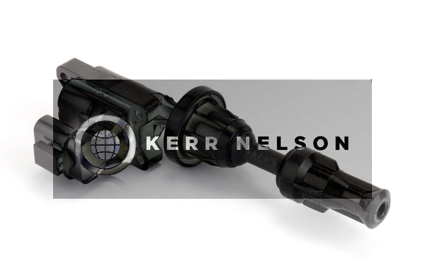 Kerr Nelson IIS360