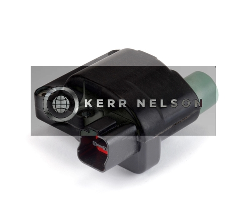 Kerr Nelson IIS361