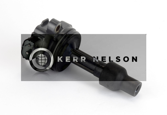 Kerr Nelson IIS363