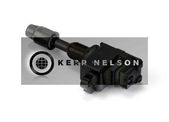 Kerr Nelson IIS366