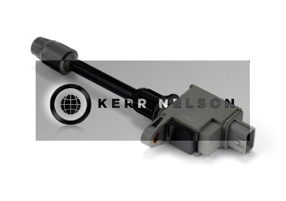 Kerr Nelson IIS367