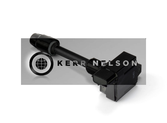 Kerr Nelson IIS369