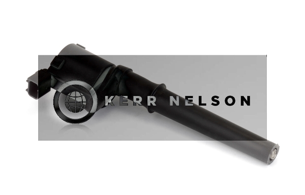 Kerr Nelson IIS371