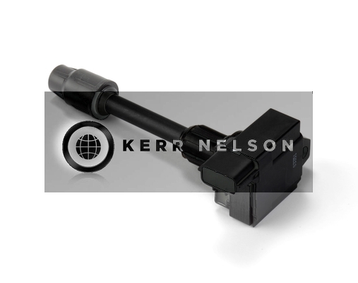 Kerr Nelson IIS372