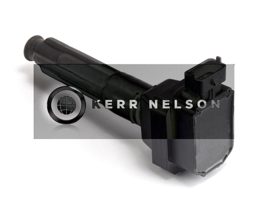 Kerr Nelson IIS373