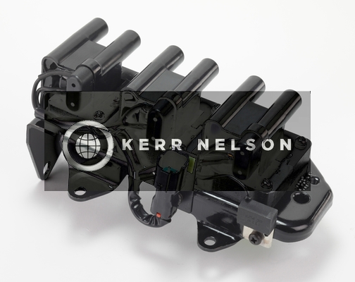 Kerr Nelson IIS391