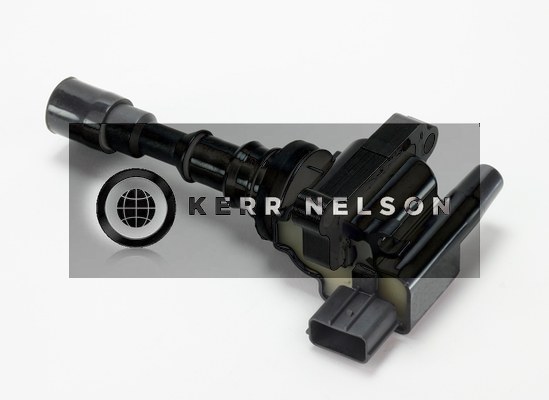 Kerr Nelson IIS392