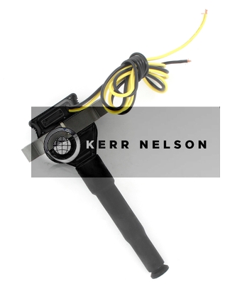 Kerr Nelson IIS394