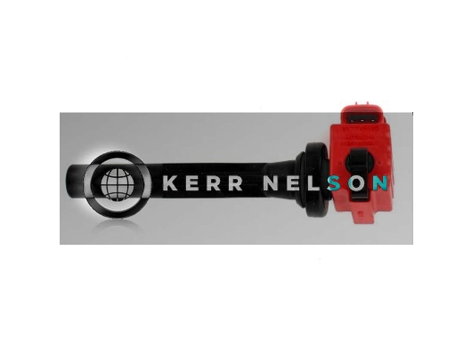 Kerr Nelson IIS397