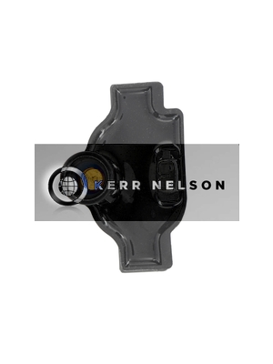 Kerr Nelson IIS399