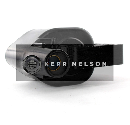 Kerr Nelson IIS402