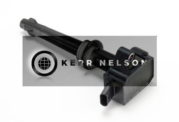 Kerr Nelson IIS406