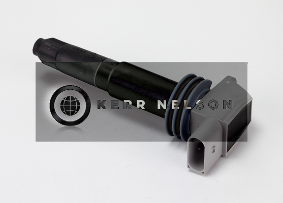 Kerr Nelson IIS426