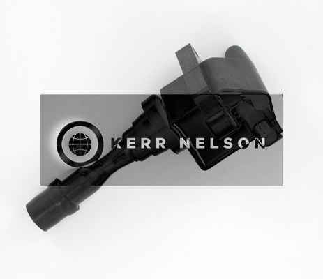 Kerr Nelson IIS431