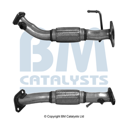 BM Catalysts BM50955K