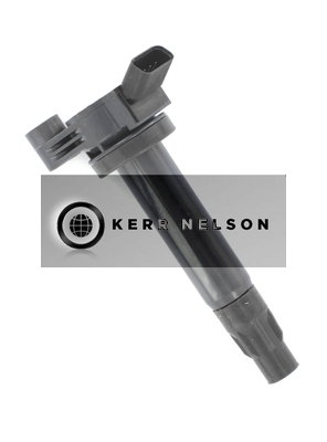 Kerr Nelson IIS432