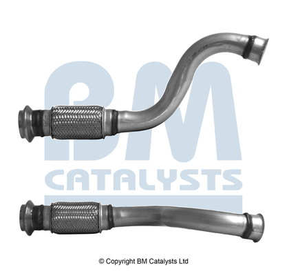 BM Catalysts BM50879K