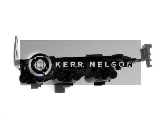 Kerr Nelson IIS441