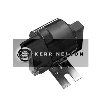 Kerr Nelson IIS453